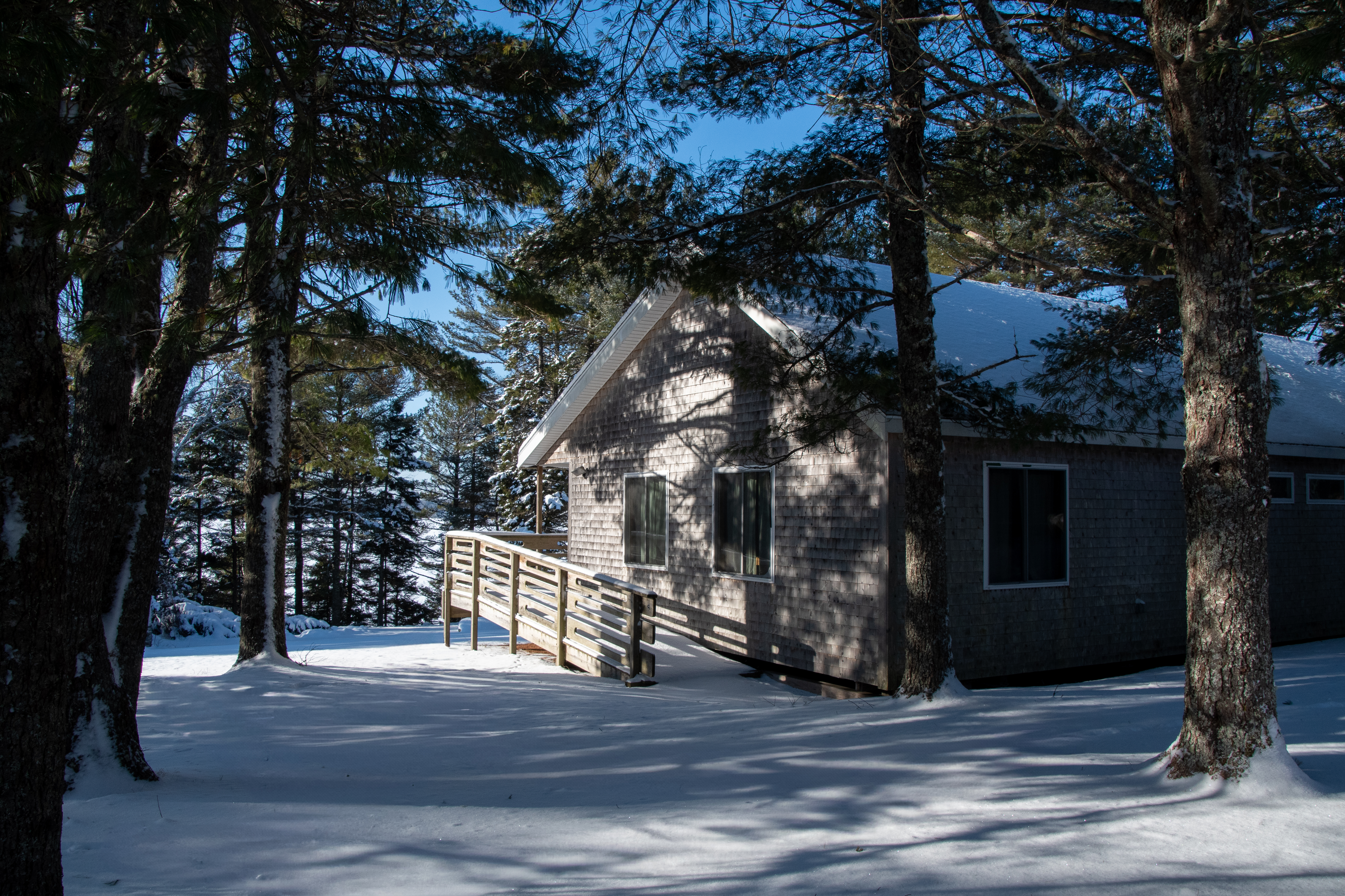 Eagle Wing in Winter